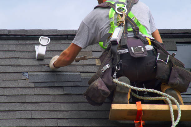 Best Roof Gutter Cleaning  in Kalida, OH
